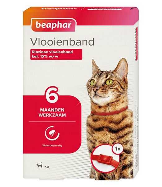 Vlooienband Kat Rood