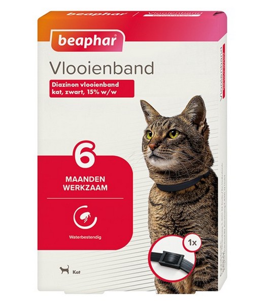 Vlooienband Kat Zwart