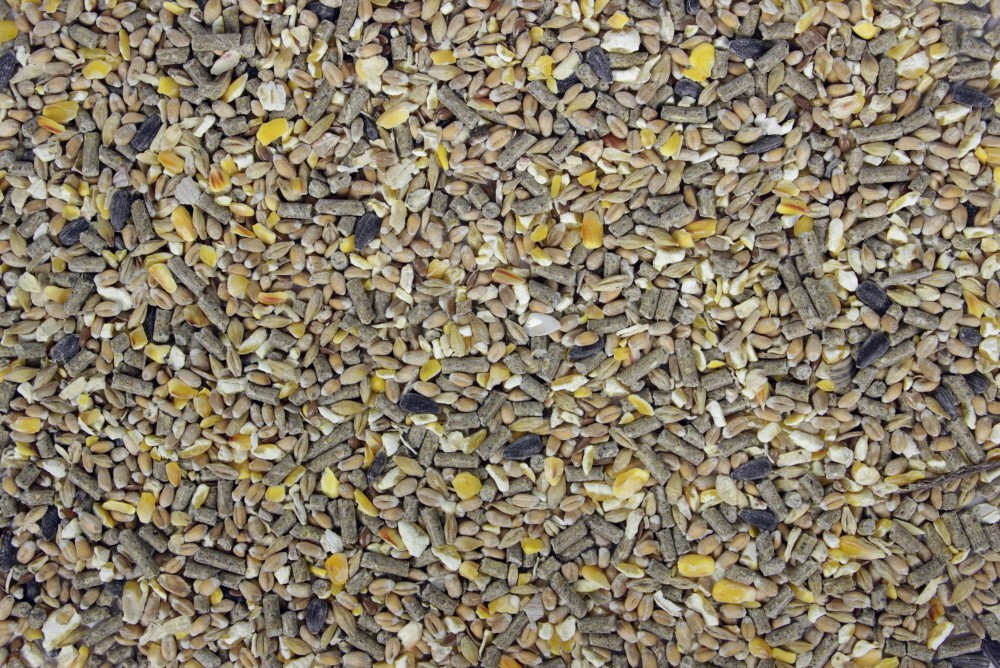 Bio Scharrelmix 12,5 kg