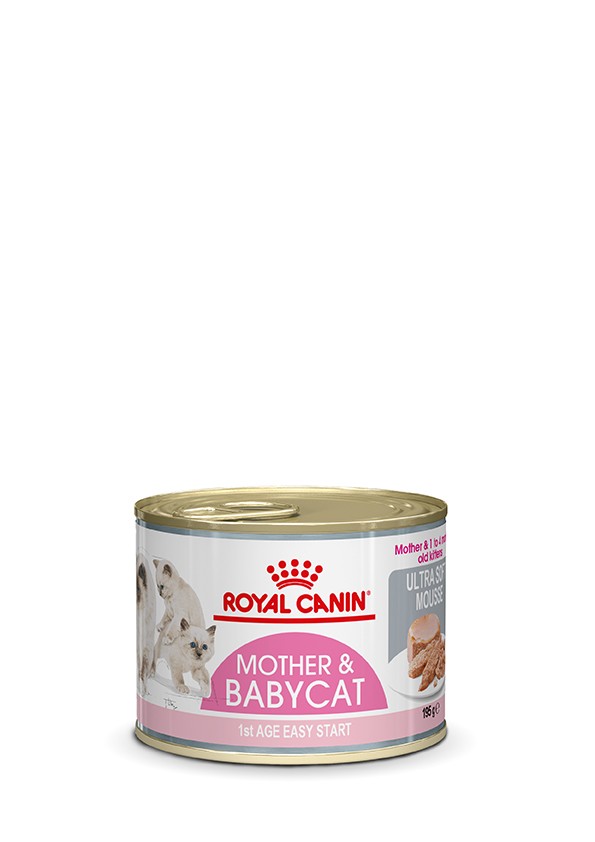 Royal Canin Mother & Babycat Mousse 195 gr
