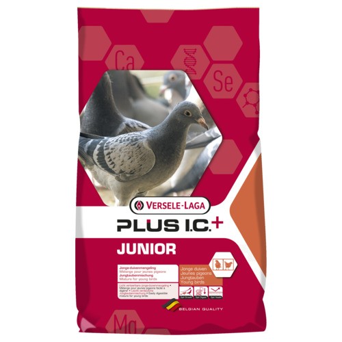 Junior Plus i.c.+ 20 kg