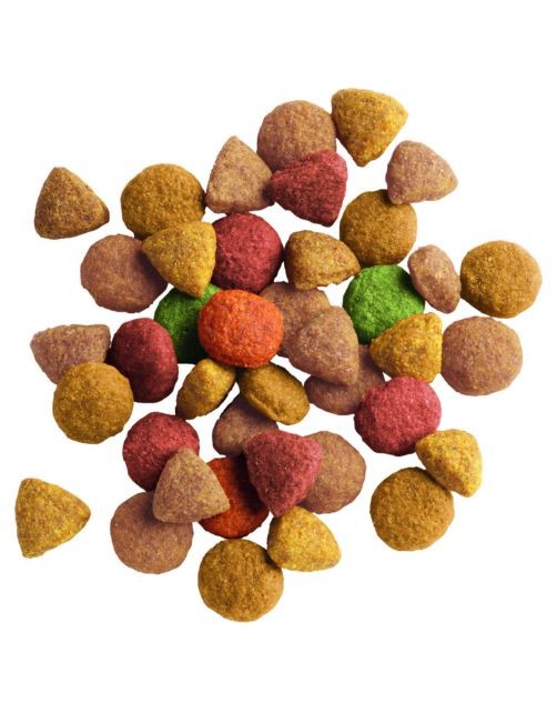 Adult Kalkoen&Kip 2 kg