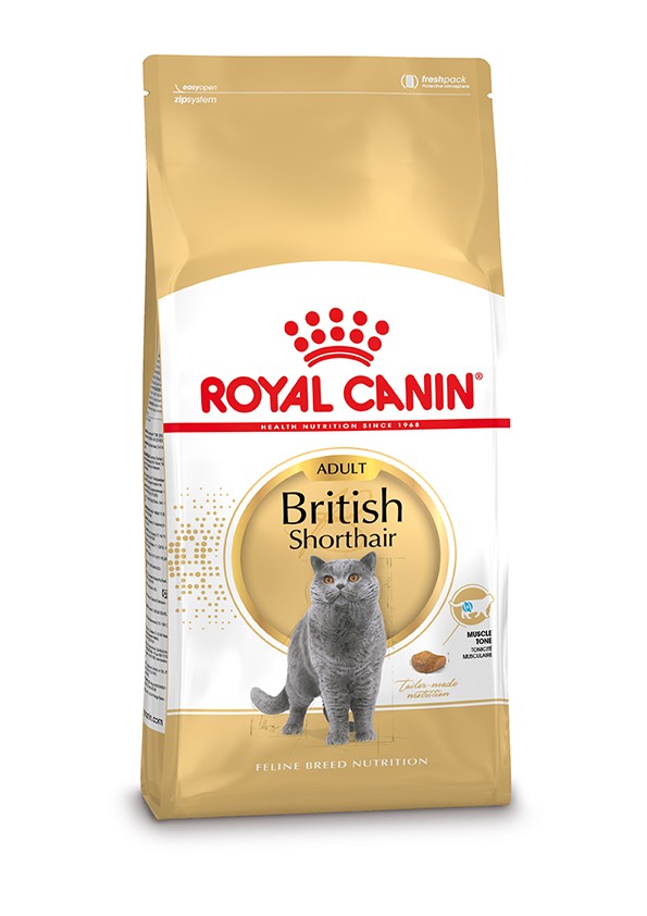 Royal Canin British Shorthair Adult 2 kg