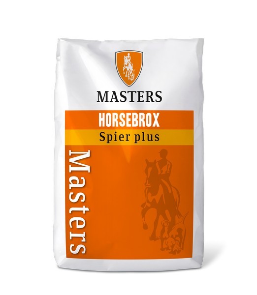Masters Spier Plus 20 kg