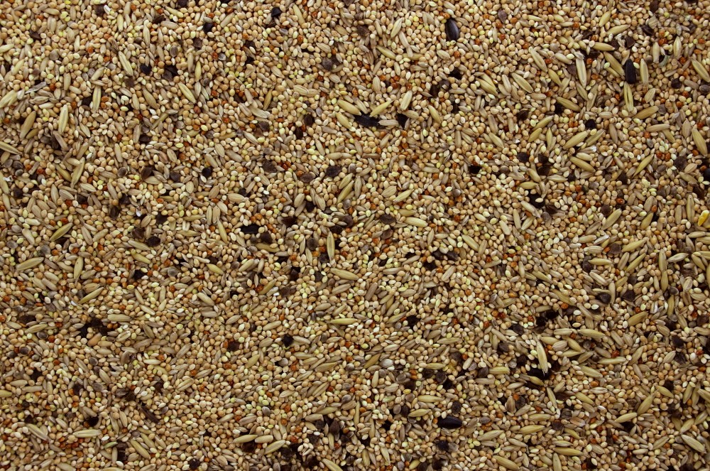Agapornis Gropar 1 kg