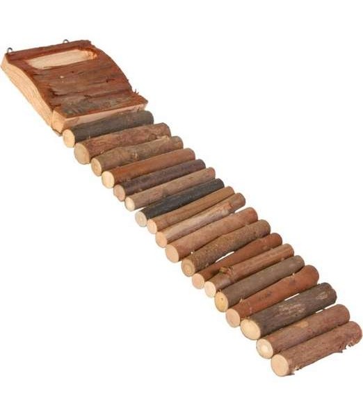 Ladder