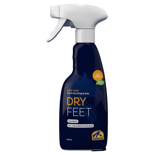 Dry Feet 250 ml