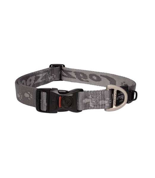 Alpinist Halsband L Platinun
