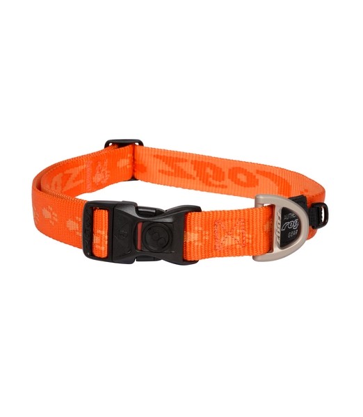 Alpinist Halsband L Oranje