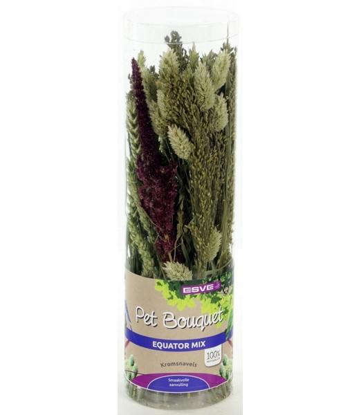 ESVE Pet Bouquet Koker Equator