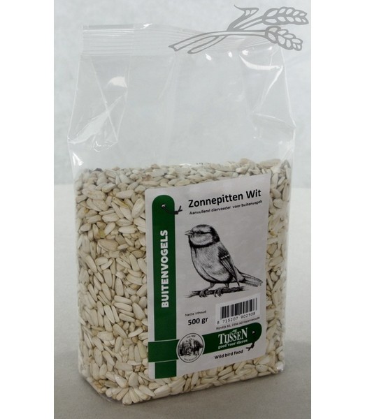 Zonnepitten Wit 500 gr