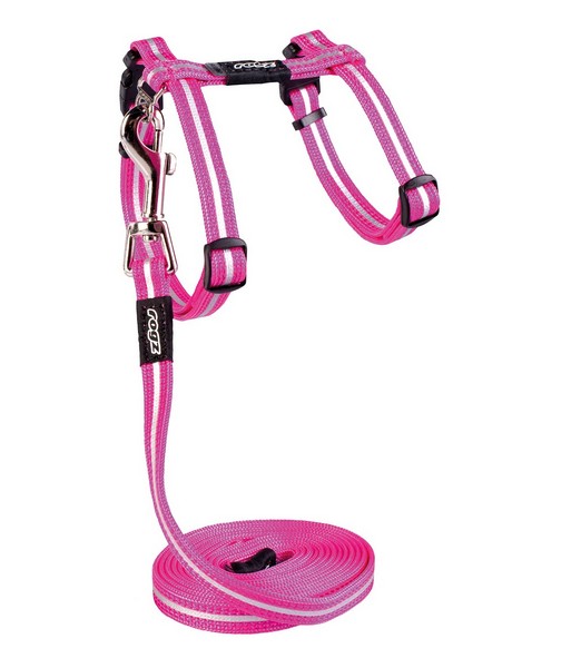 AlleyCat Tuig+Lijn Pink XS