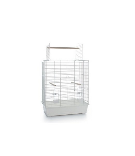 waardigheid planter Veeg Vogel Kooien | Diervoeders Zoetermeer | Dierenwinkel en dierenspeciaalzaak voor uw hond, kat, knaagdier, vogel, paard, pluimvee en kleinvee waardigheid planter Veeg Vogel Kooien | Diervoeders Zoetermeer | Dierenwinkel en dierenspeciaalzaak voor uw hond, kat, knaagdier, vogel, paard, pluimvee en kleinvee