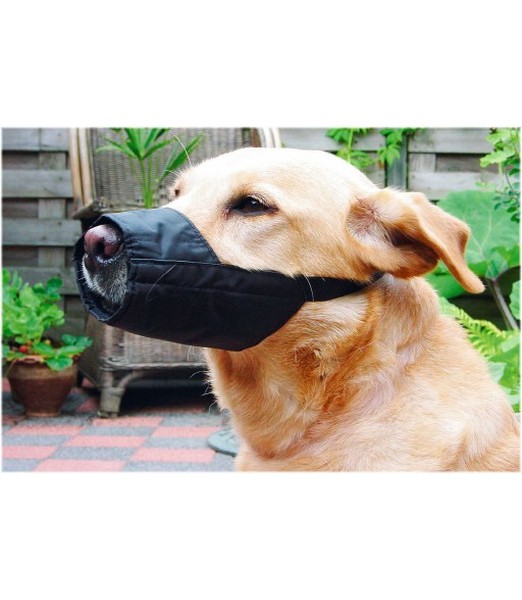 Beeztees Veiligheidsmuilband - Muilkorf - Hond - M - 14 cm