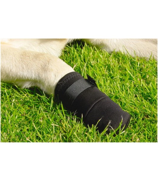 Beeztees Beschermingsschoen - Hond - Zwart - M - 2ST