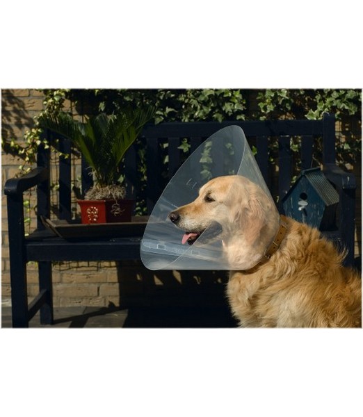 Hondenkraag Plastic 31-38x15 cm