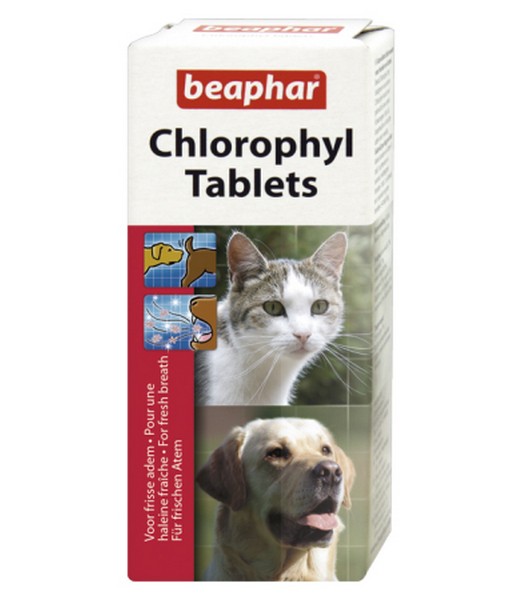 Chlorophyl 30 tabletten