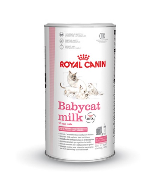 Royal Canin Babycat Milk 300 gr