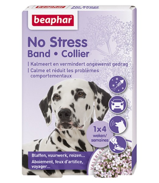 No Stress Band Hond