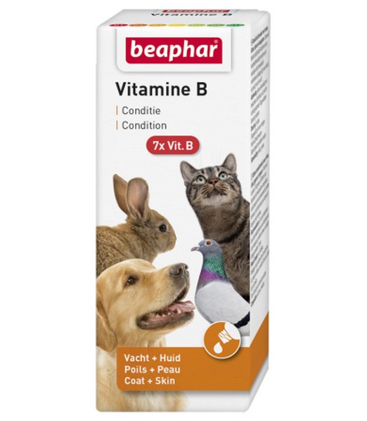 Vitamine B 50 ml